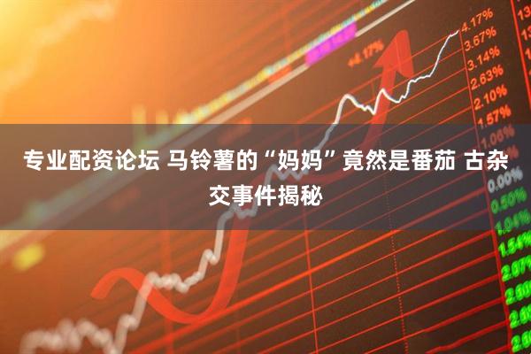 专业配资论坛 马铃薯的“妈妈”竟然是番茄 古杂交事件揭秘