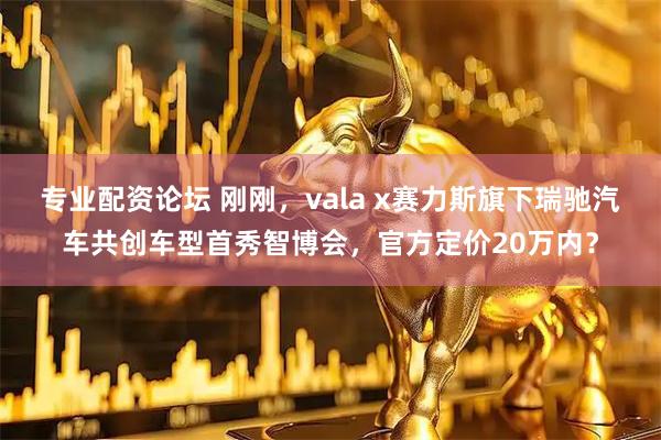 专业配资论坛 刚刚，vala x赛力斯旗下瑞驰汽车共创车型首秀智博会，官方定价20万内？